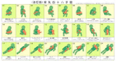 体位獅子舞|48手の体位をイラスト完全解説!『大江戸四十八手』のやり方